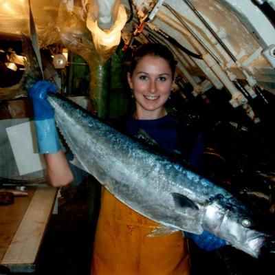 2008 Fv Ukrainian Vessel In Nz