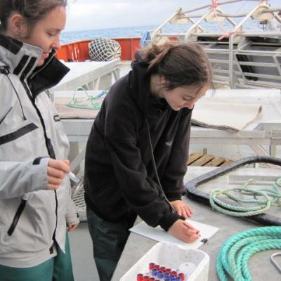 2015 Elizabeth And Shannon Tuna Boat