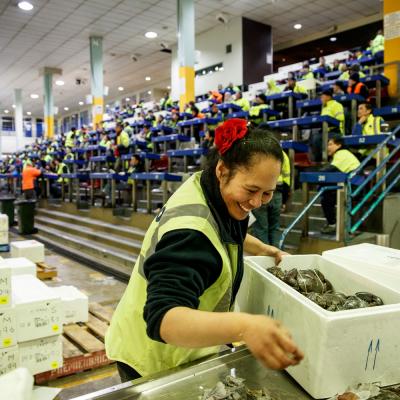 Fish Markets Auction Floor 0018