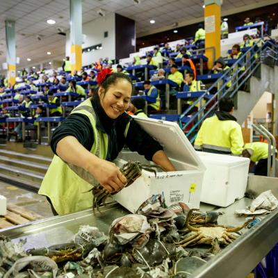 Fish Markets Auction Floor 0023