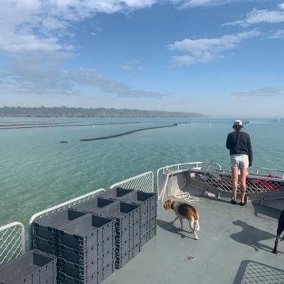 Stephanie Sutcliffe And Ladies